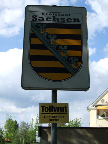 sachsentollwut