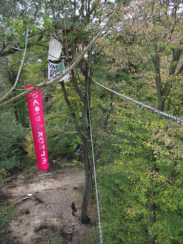 Räumung im Hambacher Forst