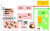 compost_facility