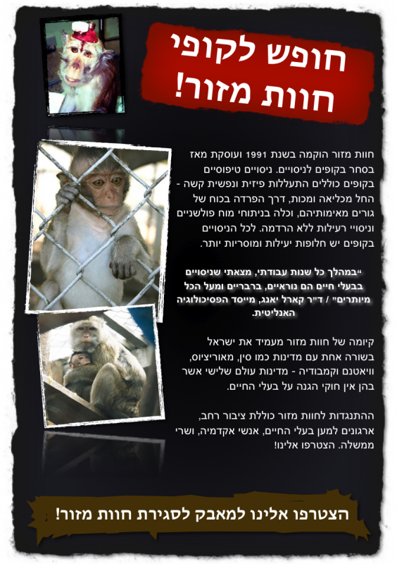 leaflet-side1.png