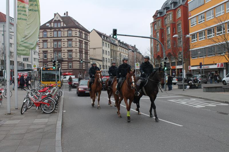 Polizeipferde auf dem Weg zum Kundgebungsort