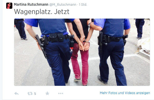 Die Polizei führte 17 Wagenleute ab.