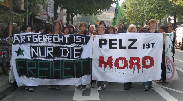 Demozug durch die Aachener Innenstadt, September 2009