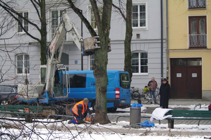 Baum - Bagger - Kettensäge