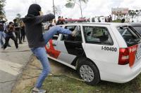 Activists release dogs being used for tests by lab in southeastern Brazil