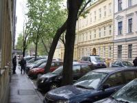 Auch bei der Parallelstrasse der Kienmayergasse stehen die Bullen