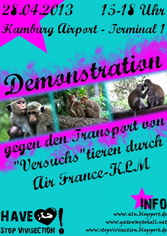 Demo gegen Air France-KLM