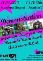 Demo gegen Air France-KLM