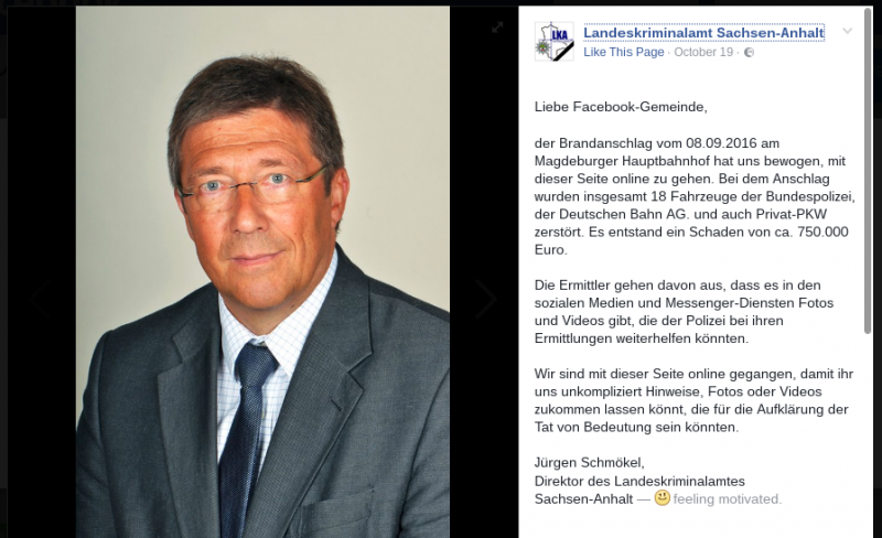 Die Schweine auf Facebook