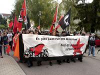 sinsheim-demo_2009_09_19.jpg