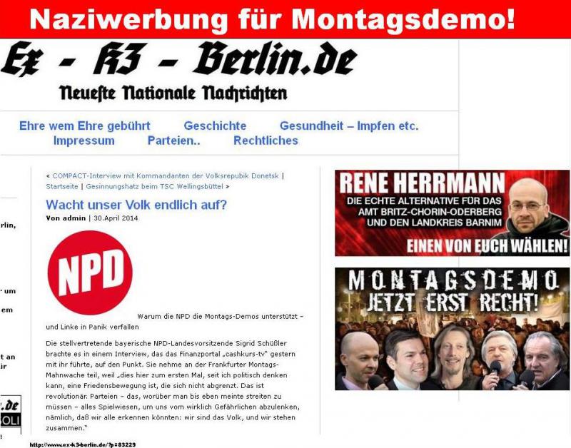 Ex-k3 neonazis Werbung Friedensbewegung