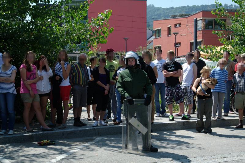 Einer gegen Vauban