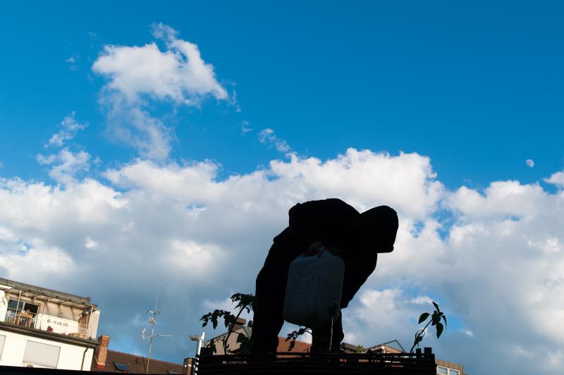 24.05.2010, Auf dem Dach der besetzten Gartenstraße wurde ein kleiner Garten angelegt. Das Häuschen ist bis heute besetzt, das Gemüse wird inzwischen von der Gartencoop angebaut.