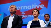 Der AfD-Bundesvorstand aus Frauke Petry und Jörg Meuthen soll in einem Schreiben OSZE-Beobachter gefordert haben