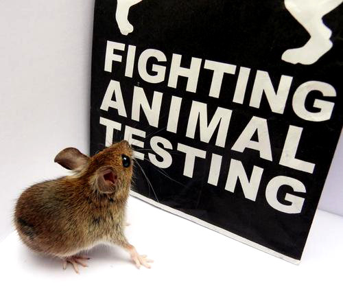 Fighting Animal Testing