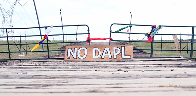 No DAPL