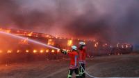 brandanschlag auf mastanlage in sprötze