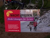 Gegen die Syrien-Mandatsverlängerung (5)