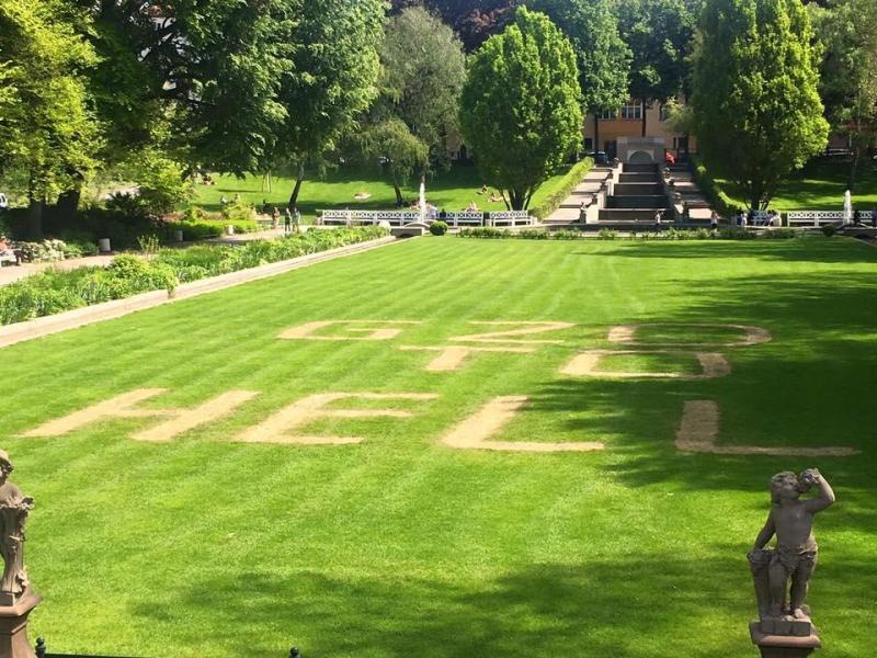 Zerstörung im Sonnenschein. G20-Gegner haben den Rasen des Körnerparks teilweise verätzt. Foto: Franziska Giffey