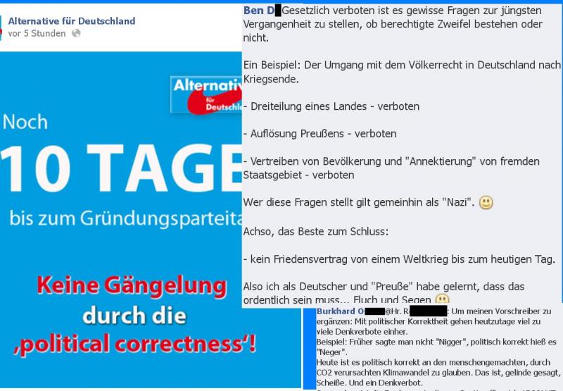 AfD Facebook