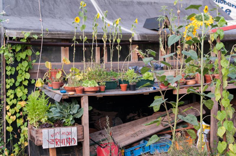 30.07.2011, Während der zwei Jahre andauernden Besetzung der Rhino-Wagenburg wurde der Platz liebevoll gestaltet und belebt – inklusive Blumenbeet.