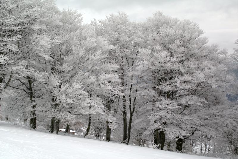 Deutschland im Winter