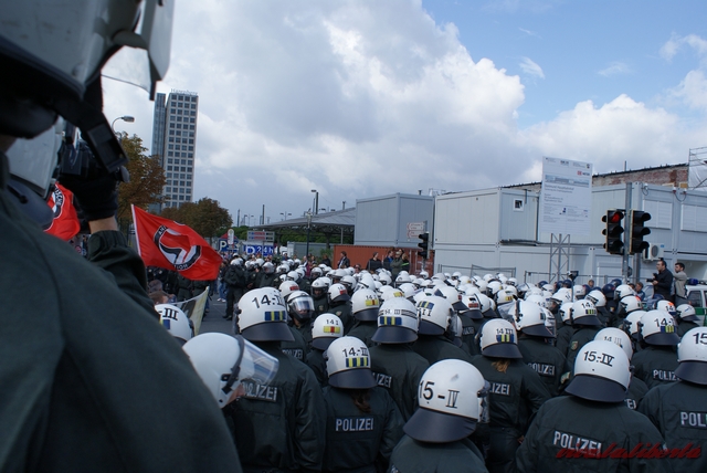 Bullen schützen den HBF 