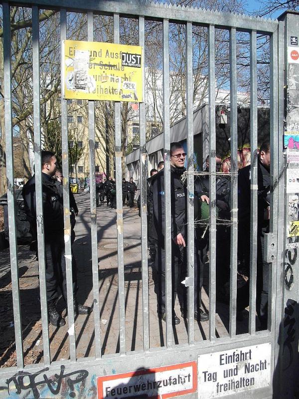 Bullen vor Schule in Berlin