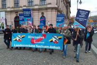 AfD in Sachsen-Anhalt