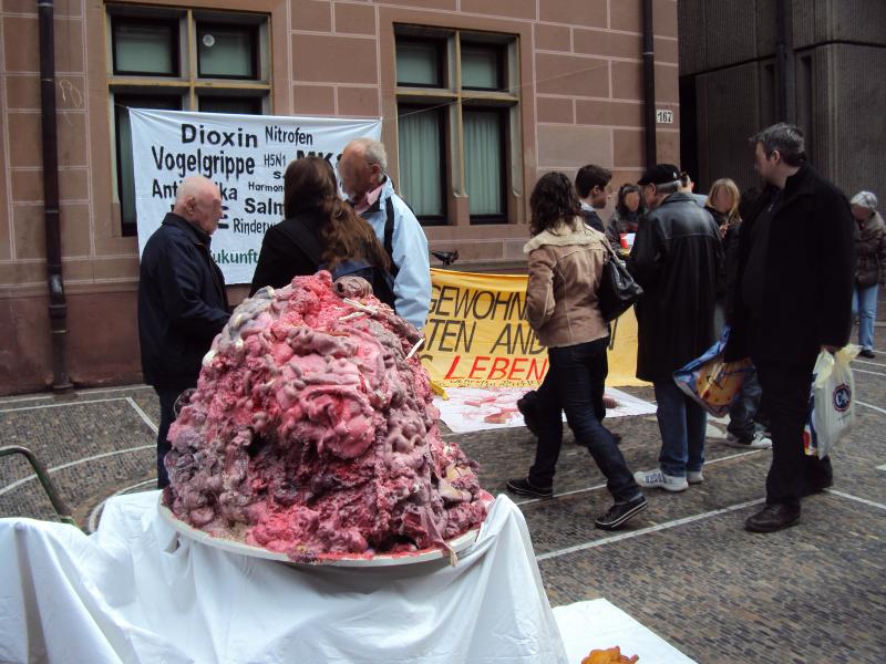 GEGEN UMWELTZERSTÖRUNG