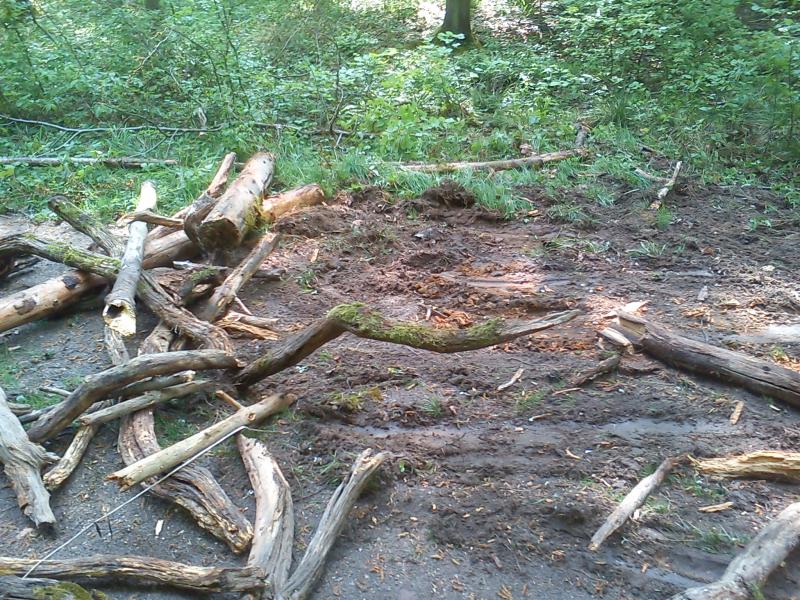 Barrikaden im Hambacher Forst zerstört - 4