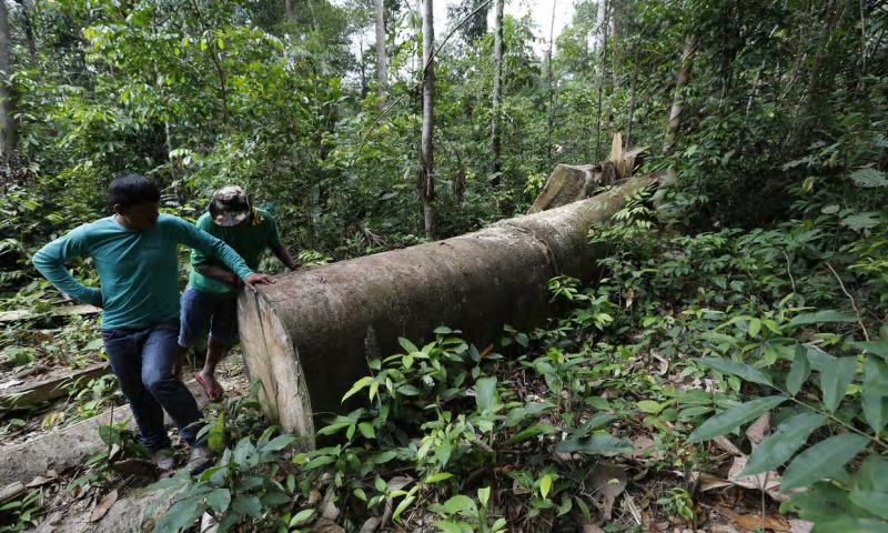 Brazilian ranchers attack Gamela indigenous people with machetes