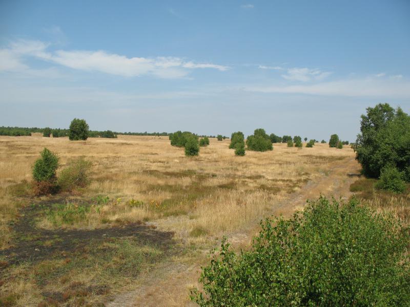 Aussicht Heide 2