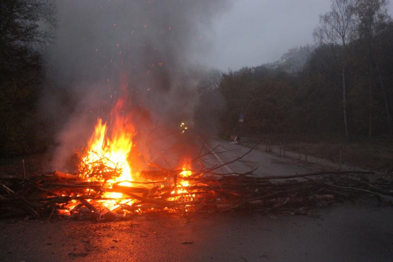 Herzerwärmende Grüße aus dem Hambacher Forst 1