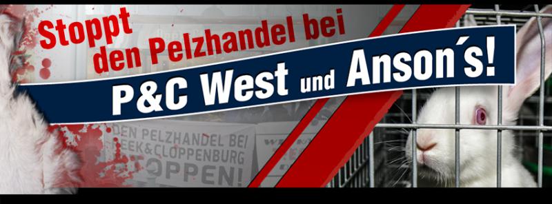 P&C Kampagne-Banner 