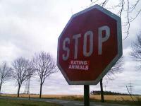 stop eating animals