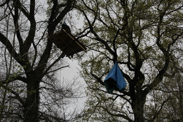 Räumung im Hambacher Forst ausgesetzt