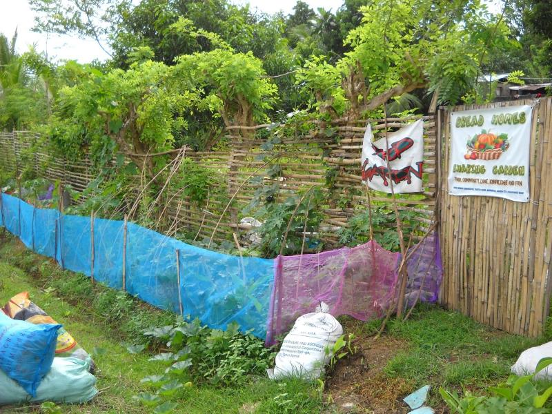 bread homes sharing garden 2