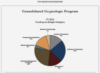 NSA-Paper: Consolidate Cryptologic Programm Budget