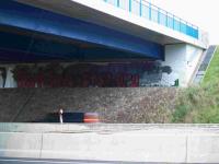 Dortmunder Nazi-Graffiti, August 2010(Foto: Azzoncao)