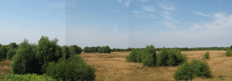 Heide Panorama