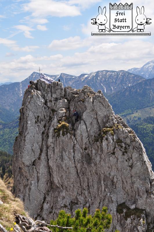 Roßsteinnadel