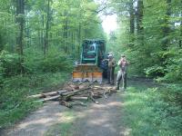 Barrikaden im Hambacher Forst zerstört - 1